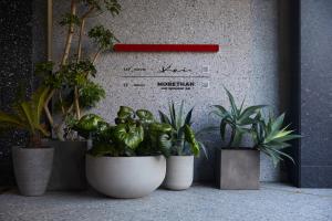 a wall with a bunch of plants in front of it at The Knot Hiroshima in Hiroshima