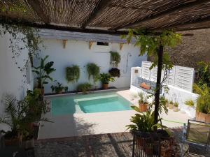 een zwembad in een achtertuin met potplanten bij La Casa de Bovedas Charming Inn in Arcos de la Frontera