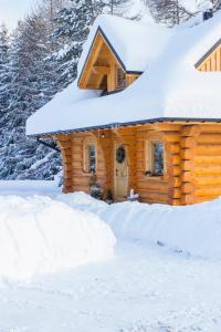 a log cabin in the snow at Dom z drzew in Istebna