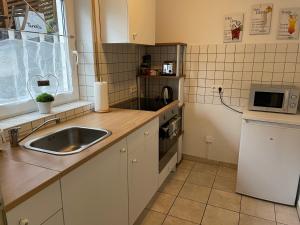 una pequeña cocina con fregadero y microondas en Ferienwohnung Casa Mia, en Leimen