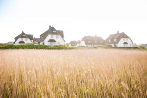 a field of tall grass with houses in the background at Strandvogtei Sylt in Rantum