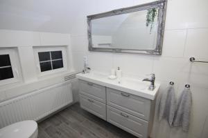 Un baño blanco con lavabo y espejo. en Spindler Hof Harz, en Langeln