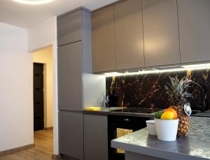 a kitchen with gray cabinets and a pineapple on a counter at Telimeny in Krakow