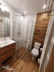 a bathroom with a shower and a toilet and a sink at Willa Stara Chałpa in Muszyna +53 photos