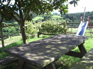 una mesa de picnic de madera con una silla y un árbol en Peña Crespa, en Tresvilla
