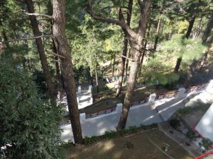 a skate park with a ramp and trees at Himalayan Splendour Resort in Dhanaulti