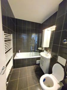 uma casa de banho com uma banheira, um WC e um lavatório. em Apartment Richy Brasov em Brasov