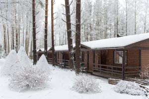 a log cabin in the woods in the snow at Park Hotel Zolotaya Dolina in Korobitsyno