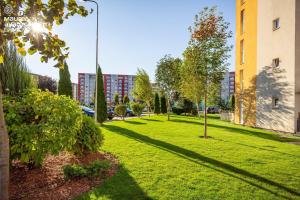 a park with green grass and trees and buildings at Apartment Richy Brasov in Braşov