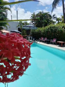 a resort swimming pool with a red flower in the foreground at Okakoaras Hotel in Maria Farinha