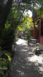 un chemin de terre avec des palmiers et un bâtiment dans l'établissement Okakoaras Hotel, à Maria Farinha