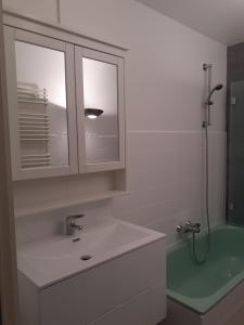 a bathroom with a sink and a shower at Residentie Romanza in Middelkerke