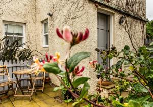 Gallery image of Hideaway in North Berwick