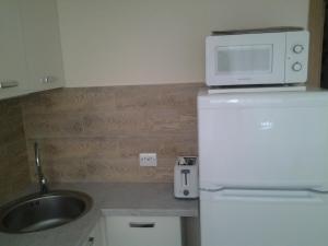 a kitchen with a sink and a microwave on top of a refrigerator at Lori Apartment in Narva