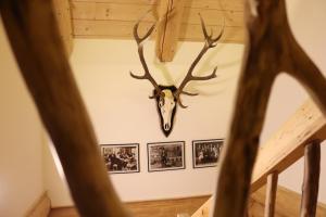 Fotografie z fotogalerie ubytování Almzauber Chalets - Haus Enzian inkl Infrarotliegen v destinaci Hochrindl