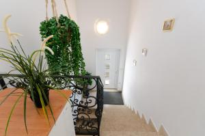 Fotografie z fotogalerie ubytování Seaside Guesthouse by JR City Apartments v destinaci Jadranovo