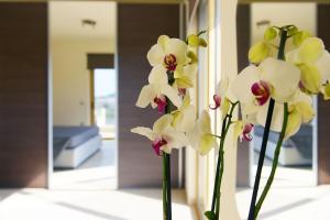 A bed or beds in a room at Stelia Luxury apartments