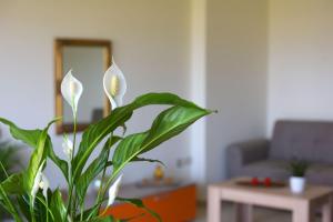 A seating area at Stelia Luxury apartments