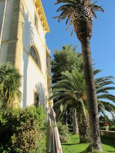 een groep parasols naast een gebouw met palmbomen bij Villa Forti in Castel Gandolfo