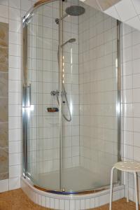 a shower with a glass door in a bathroom at Auberge Tabarz Inselsberg in Tabarz