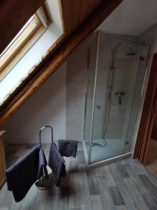 y baño con ducha y cabina de ducha acristalada. en Anhalter Berg en Quedlinburg