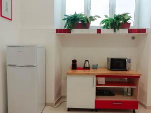 una cucina con bancone, forno a microonde e frigorifero di Appartamento indipendente a due passi dal centro a Savona