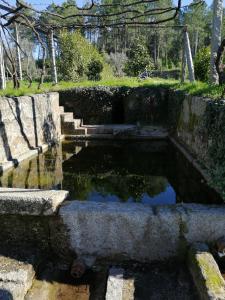einen Pool mit Wasser in einem Garten mit Treppen und Bäumen in der Unterkunft Quinta do Santinho in Amarante