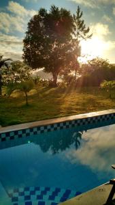 uma piscina com o reflexo de uma árvore em Pousada Sítio Rústicu's em Domingos Martins