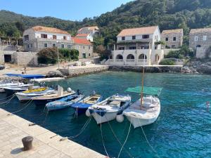 a group of boats are docked in a harbor at Jully apartment with swimming pool in Babino Polje