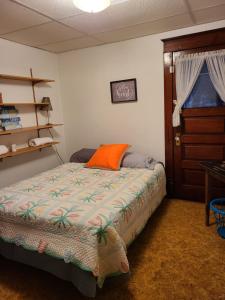 a bedroom with a bed with an orange pillow on it at Endless Mountain Adventure in Renovo