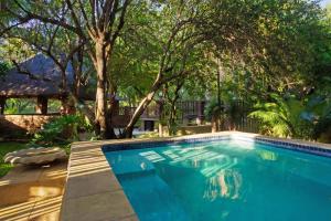 a swimming pool in a yard with trees at Doringpoort Lodge in Marloth Park