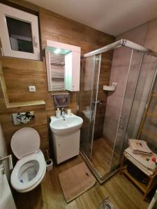a bathroom with a shower and a toilet and a sink at Starloft Kopaonik in Kopaonik +35 photos