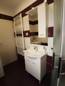 La salle de bains est pourvue d'un lavabo blanc et d'un miroir. dans l'établissement Apartment David, à Funtana