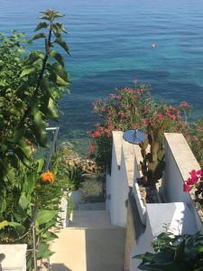 Φωτογραφία από το άλμπουμ του Villa Evita στη Μεσογγή