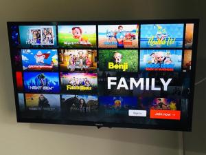 TV a/nebo společenská místnost v ubytování Arena Motel