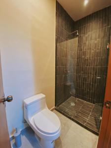 a bathroom with a toilet and a shower at Hostal Barrio Vivo in Mérida