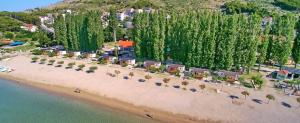 an aerial view of a beach with chairs and trees at Apartment Jerko - 200 m from beach in Omiš