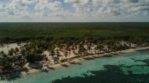 a beach with a large body of water at Cabanas ecoturisticas Costa Maya in Mahahual