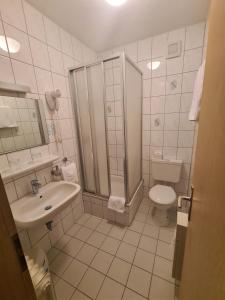 a bathroom with a shower and a sink and a toilet at Hotel Silberhorn in Nürnberg