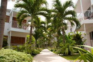 a walkway in front of a building with palm trees at Negril Palms in Negril