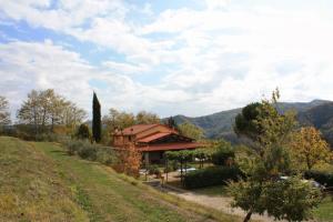 Príroda v okolí farmy