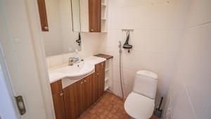 a small bathroom with a toilet and a sink at Hotel Aakenus Holiday Home Koivu in Rovaniemi