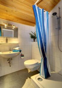 La salle de bains est pourvue de toilettes, d'un lavabo et d'une douche. dans l'établissement Haus am Silberbergbach, à Bodenmais