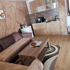 Kuchnia lub aneks kuchenny w obiekcie Apartmani MILOSAVLJEVIĆ Divčibare