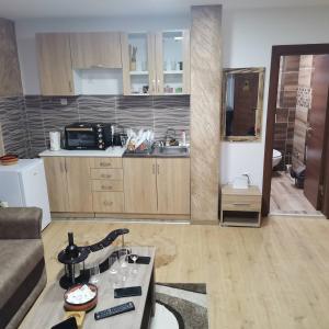 Kuchnia lub aneks kuchenny w obiekcie Apartmani MILOSAVLJEVIĆ Divčibare