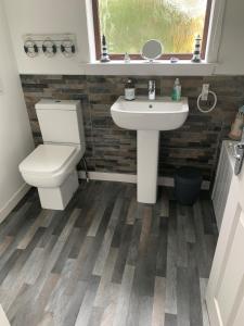 een badkamer met toilet en wastafel bij Osborne Cottage in Southend +9 foto's