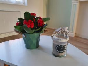 Un jarrón de flores junto a una vela y una planta en Appartement calme, chaleureux et lumineux, en Douai