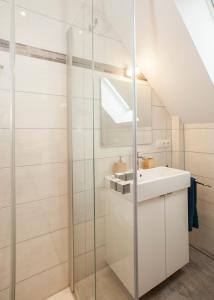 uma casa de banho com uma cabina de duche em vidro e um lavatório. em Blumeninsel em Horumersiel