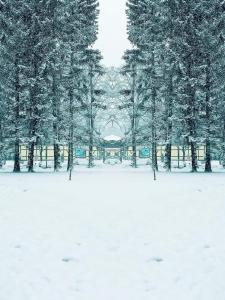 CrisAnd Wald &Terrasse v zimě