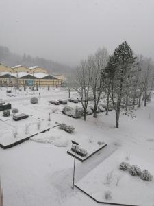 ein schneebedeckter Park mit Bäumen und Gebäuden in der Unterkunft CrisAnd 2 Bergen in Altenau